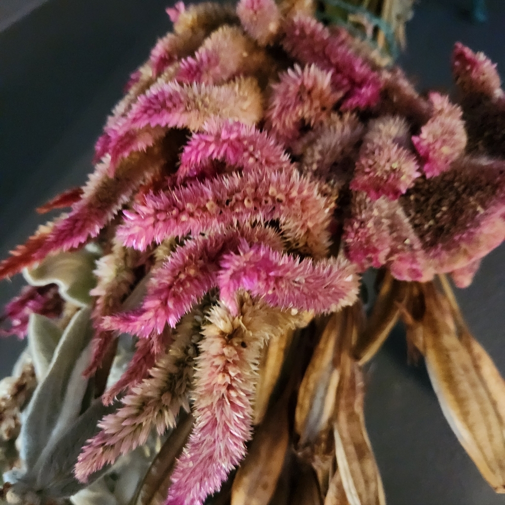 Real Dried Flower Bouquet - Picture 3 of 7